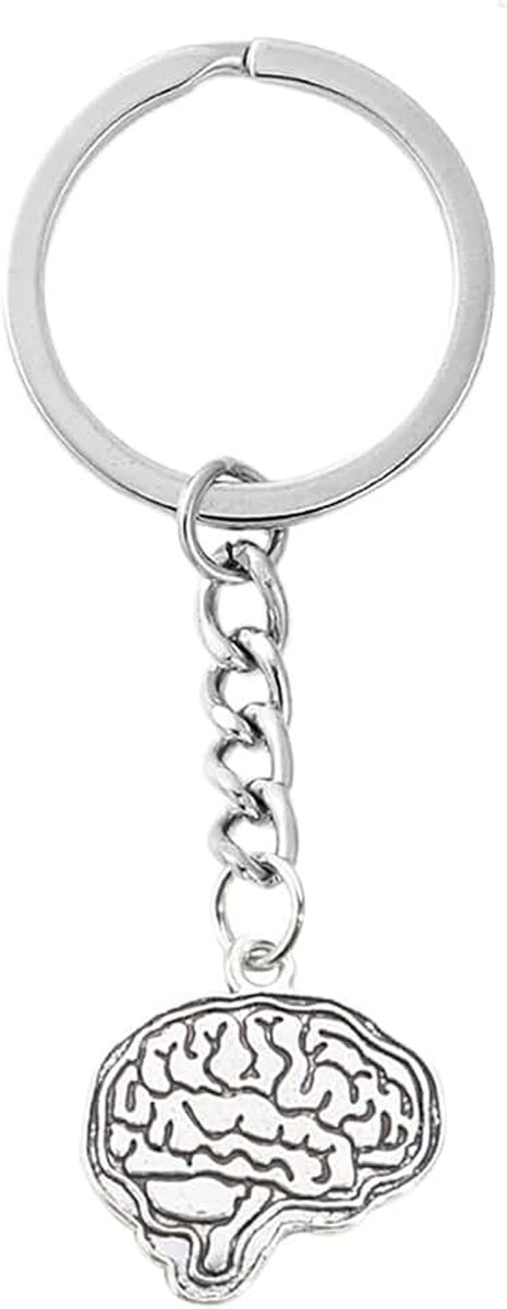 Hersenen sleutelhanger, organen, vrienden, lichaamsdelen, sleutelhanger, hanger voor dokter, afstudeercadeau, sieraden, handwerk