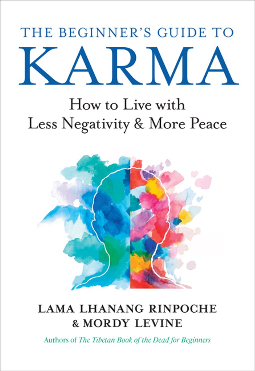 The Beginner's Guide To Karma