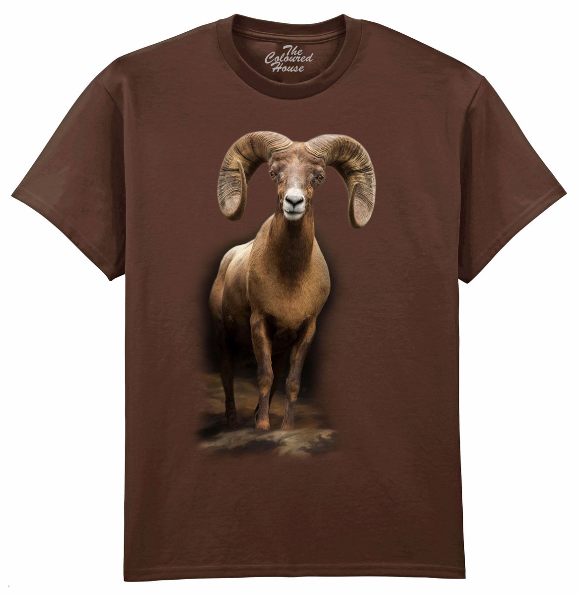 Dikhoorn Schaap High Mountain Patriarch The Coloured House T-shirt XL