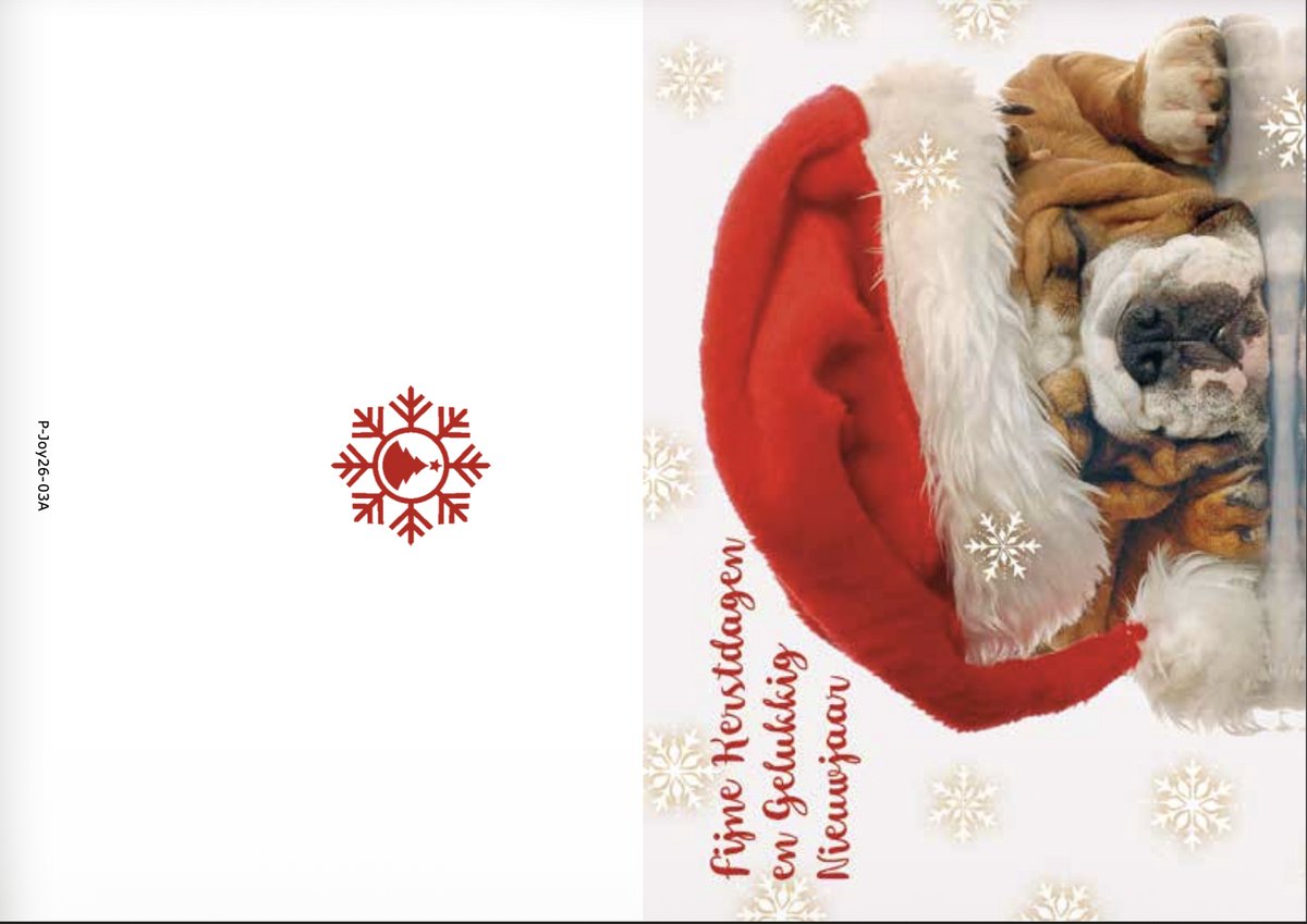 Kerstkaarten box Joy Animal 1 Dog