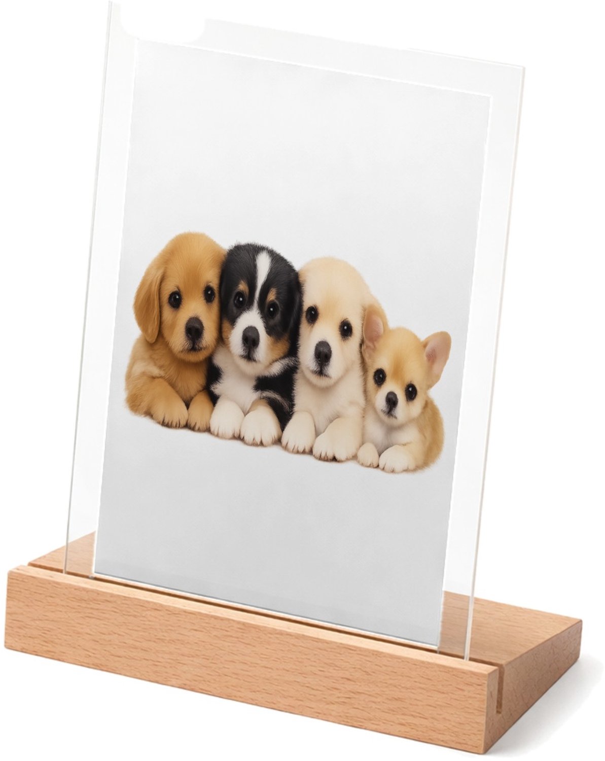 Mr Cadeautjes Glasframe met vaste tekst - design Een vrolijke, zachte dierenprint met een compacte groep jong | cadeau Wit