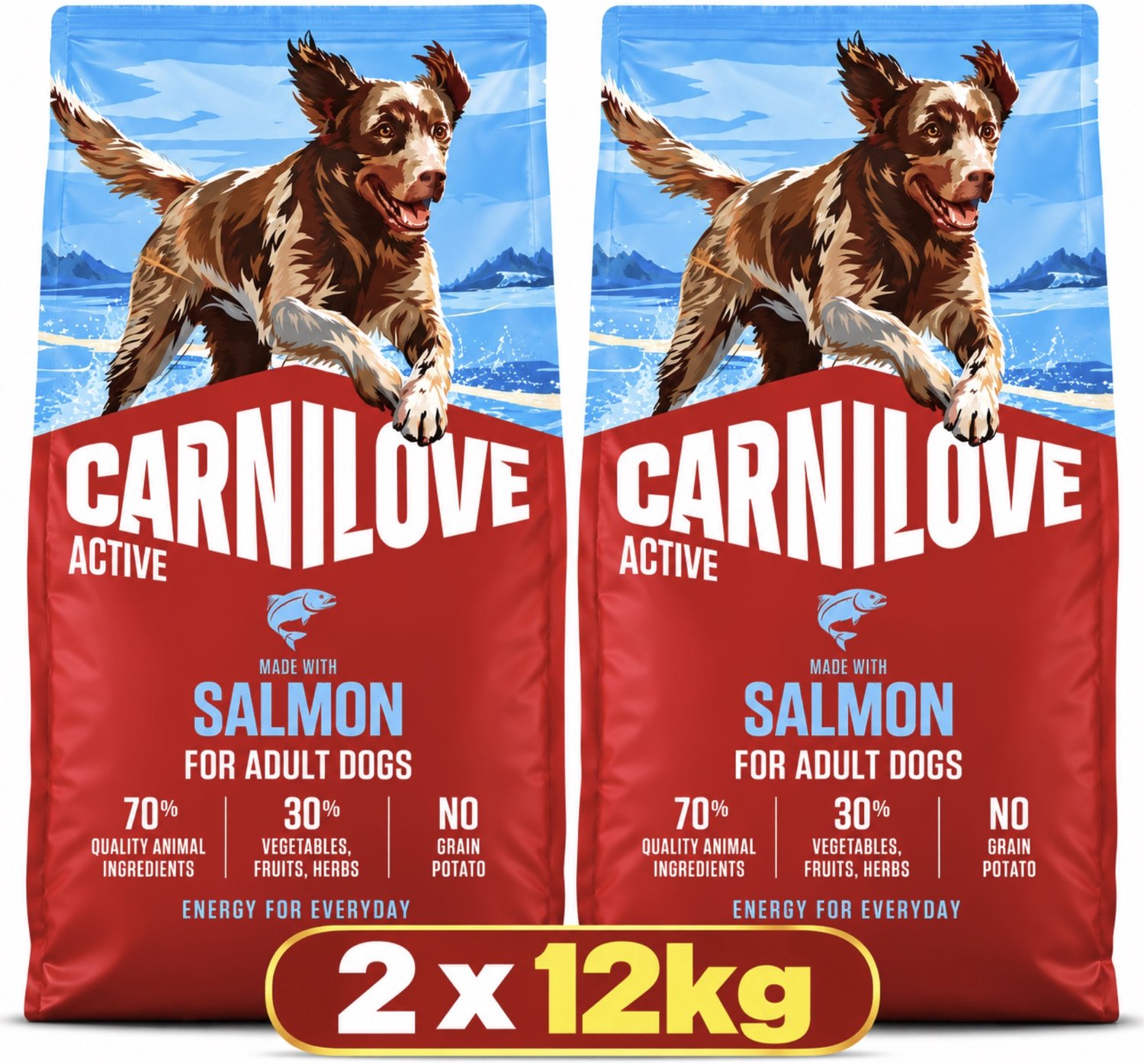 2x CARNILOVE SALMON ADULT 12KG