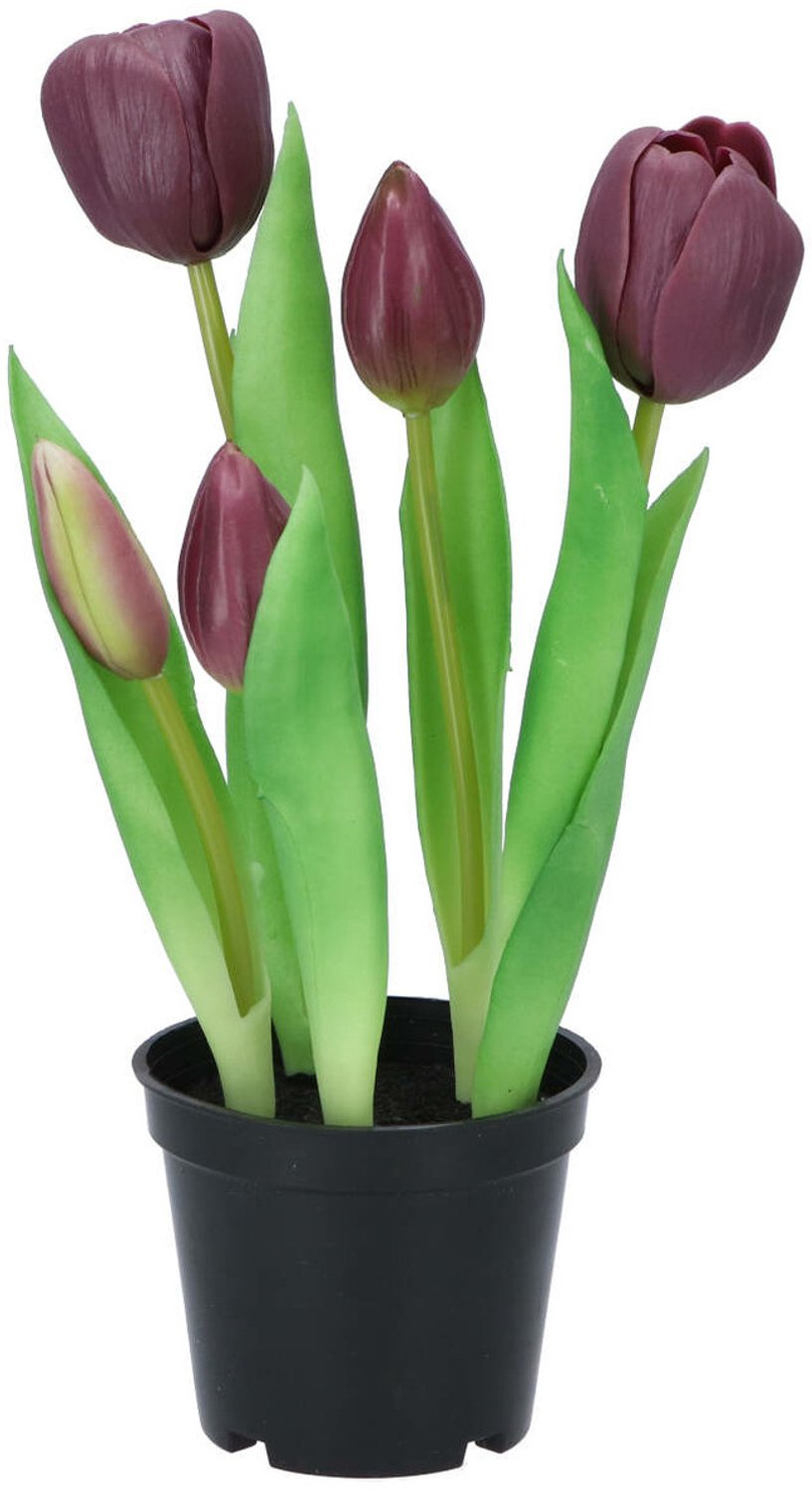 DK design Kunst tulpen Holland in pot - 5x stuks - donker paars - real touch - 26 cm - levensechte kunstbloemen