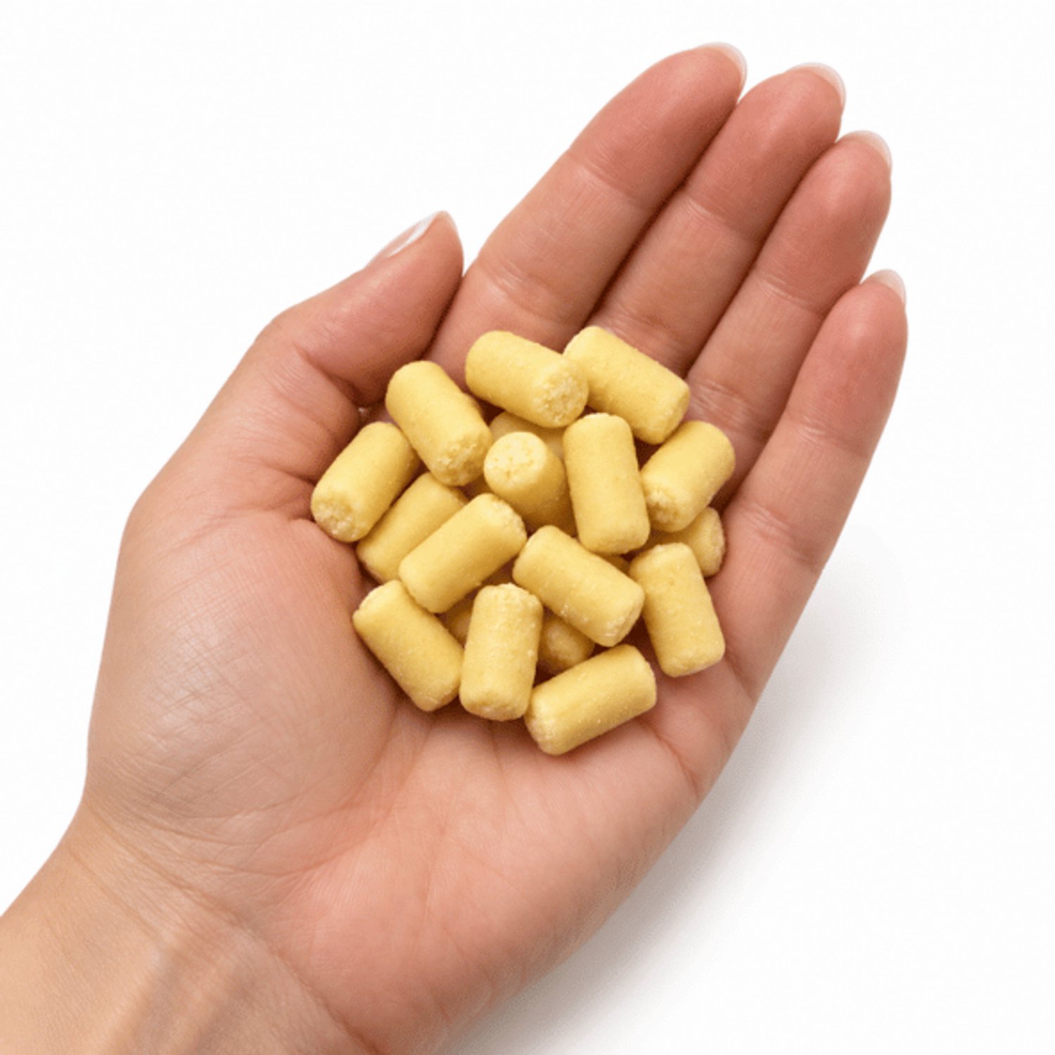 BREERs Ricotta hondensnack gedroogd, graanvrij, Trainingssnacks voor honden adult, zacht, 500 g, snack