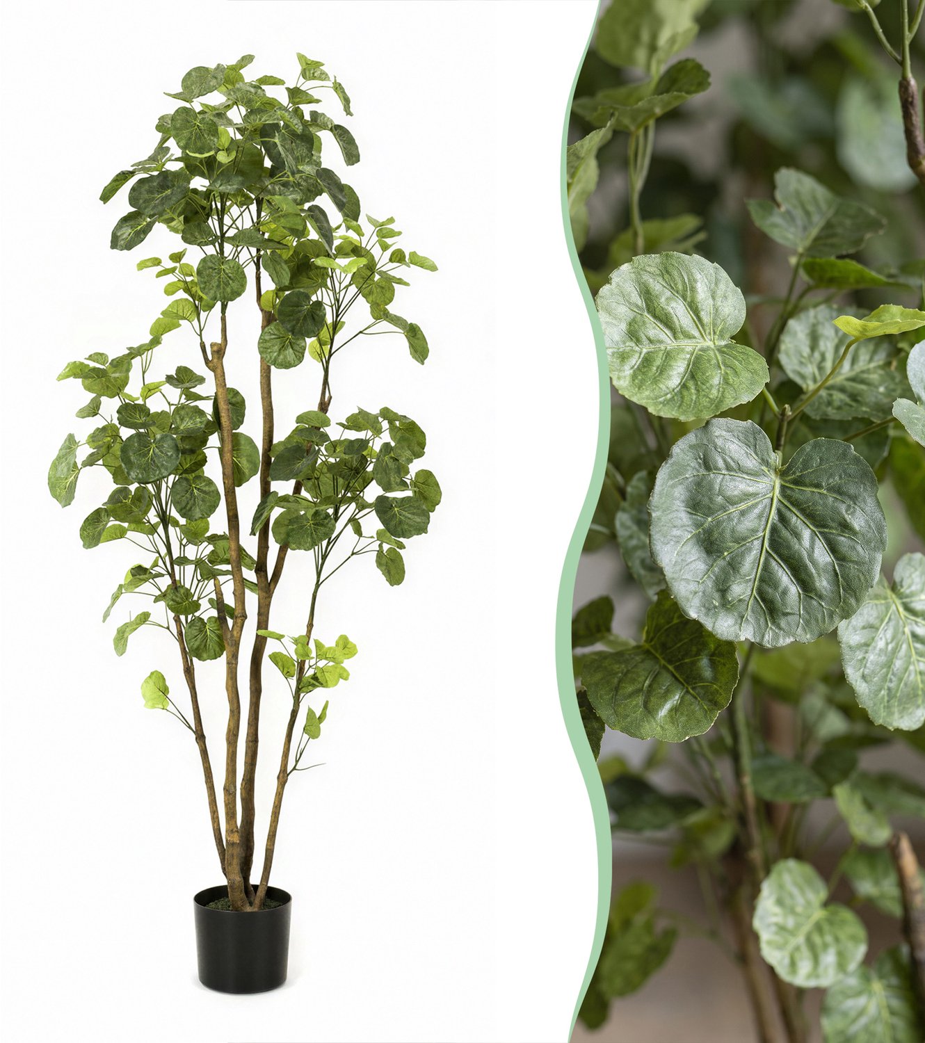 Green Boutiq Kunstplant - Polyscias - Aralia - 160 cm Bruin
