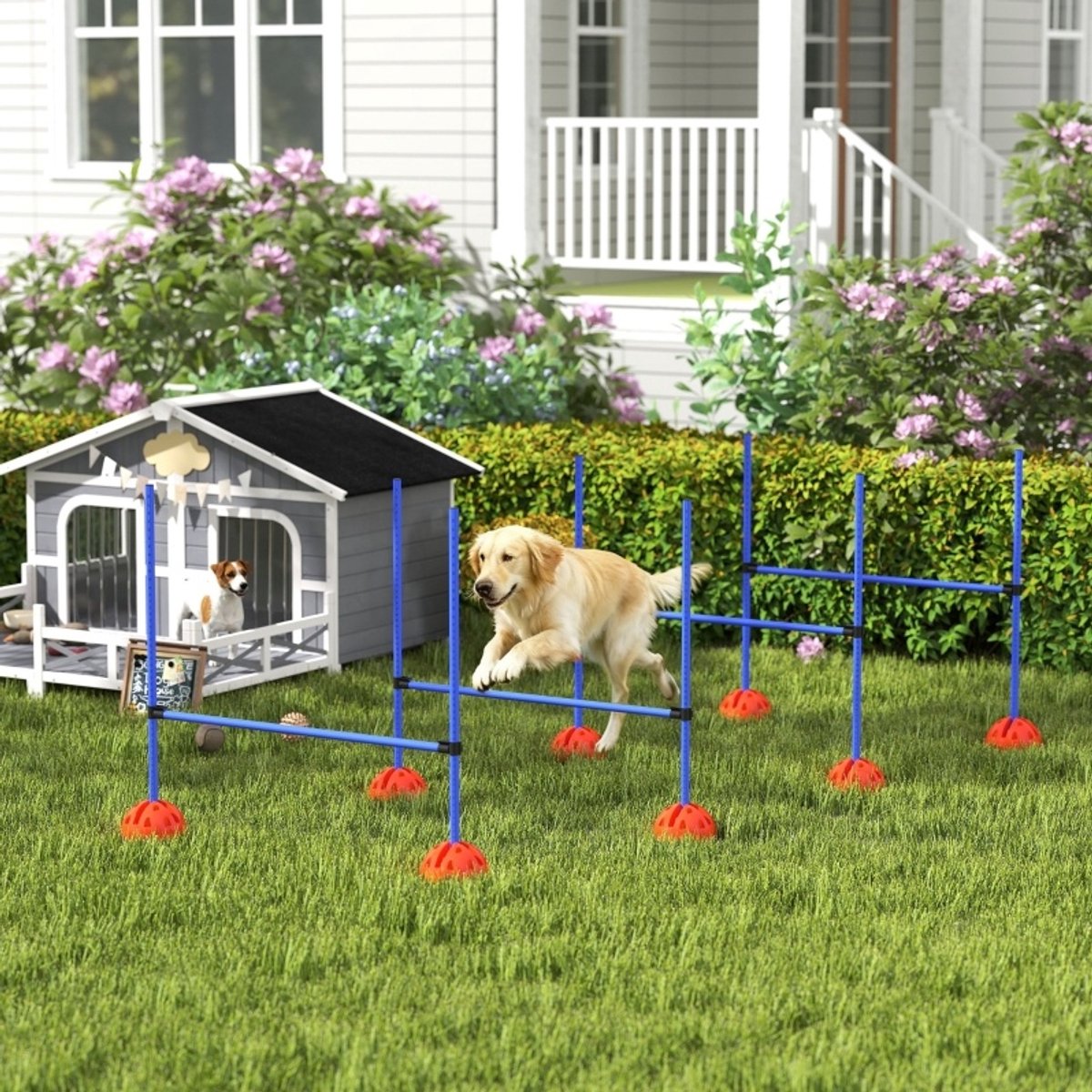 MODFU - Honden Agility Set - Verstelbare Hoogte - Draagtas - Hondentraining - Kunststof - Blauw - 124 Cm