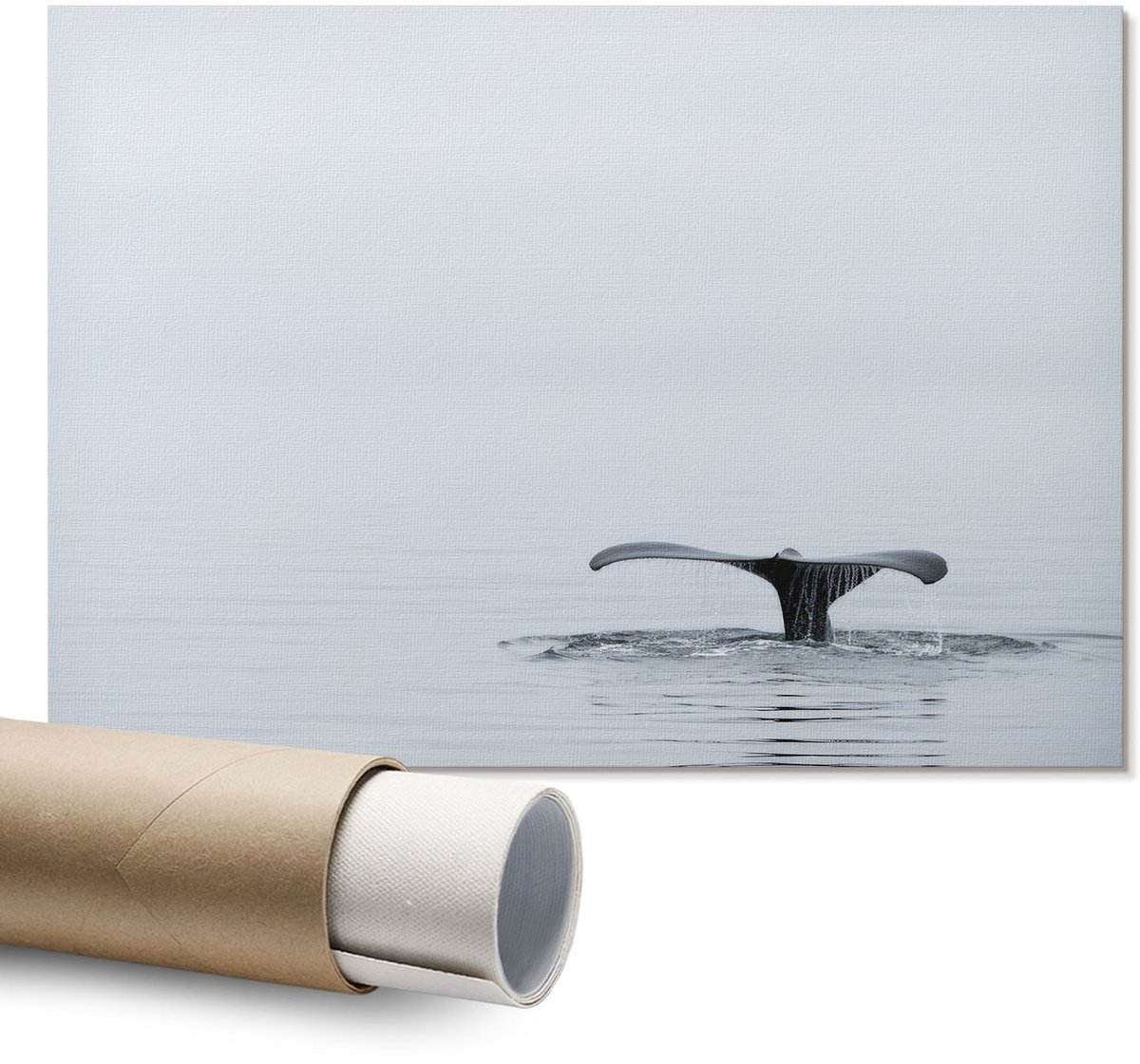 Coloray Polycanvas Poster - Luchtacrobatiek, Fotografie - A1 - Grijs Wandposter - Rechthoek - Muurdecoratie - Woonkamer - Modern