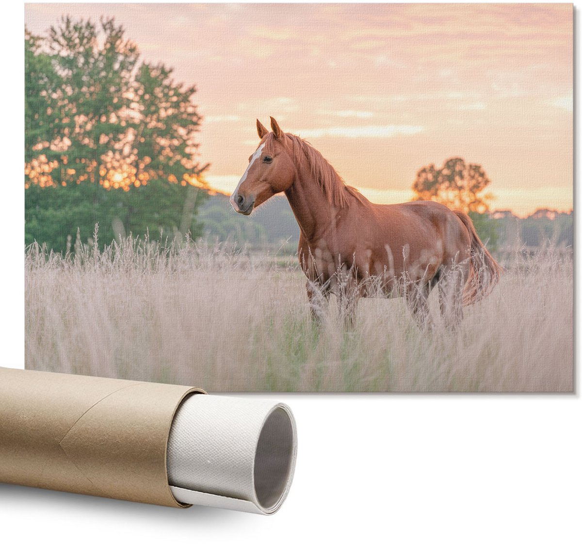 Coloray Polycanvas Wandposter – Ochtendrust, Groen – A1 – Blauw Decoratie – Rechthoek – Canvas Wandposter – Kantoor – Minimalist