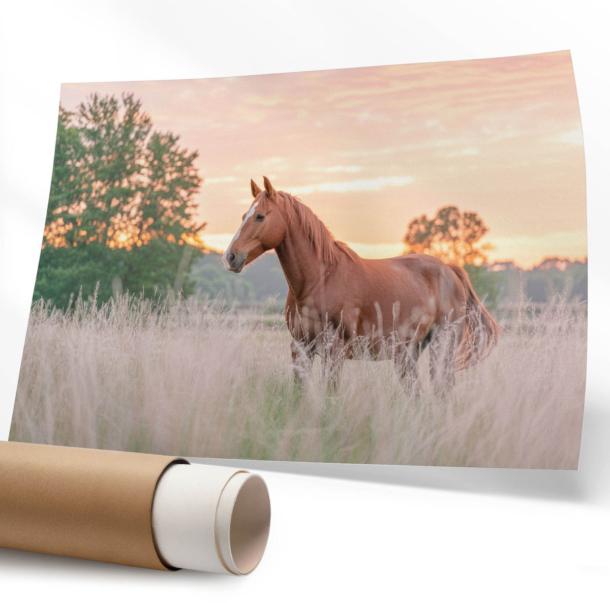 Coloray Polycanvas Wandposter - Een Stedelijke Hoek, Fotografie - 594 x 840 mm - Oranje Motief - Rechthoek - Wandkunstwerk - Slaapkamer - Klassiek