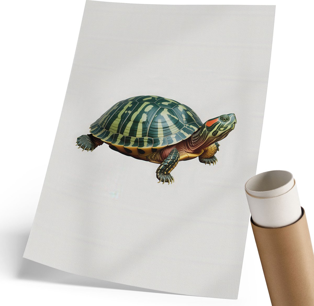 Coloray Polycanvas Wandposter - Schildpad, Illustratie - 210 x 297 mm - Groen Poster - Rechthoek - Canvasposter - Woonkamer, Slaapkamer, Kantoor - Klassiek
