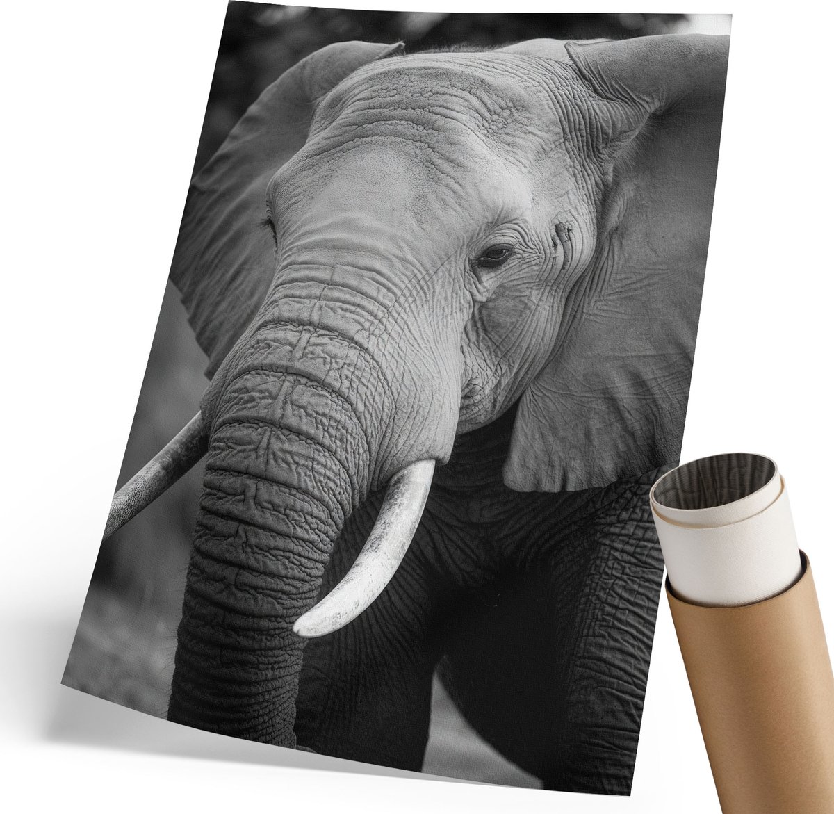 Coloray Polycanvas Wandposter - Olifantenportret, Fotografie - 210 x 297 mm - Zwart-wit Wanddecoratie - Rechthoek - Canvasposter - Woonkamer, Slaapkamer, Kantoor - Klassiek