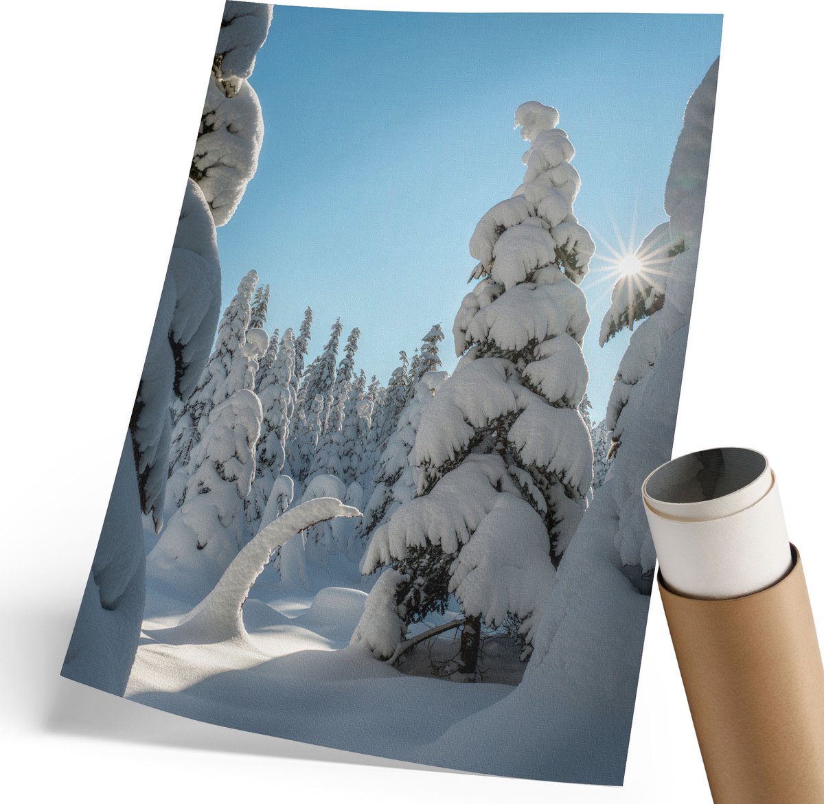 Coloray Polycanvas Wandposter - Naaldwoud In De Winter, Fotografie - 210 x 297 mm - Wit Wandposter - Rechthoek - Interieurdecoratie - Woonkamer, Slaapkamer, Kantoor - Klassiek