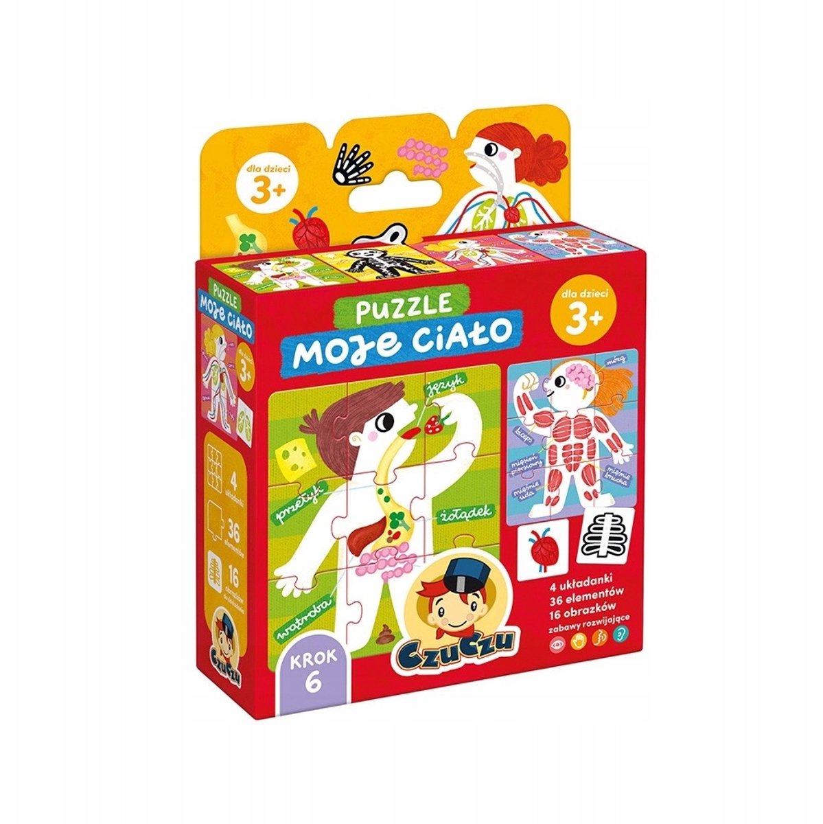 Merkloos Lichaamsbouw Puzzel & Spel voor Kinderen 3+