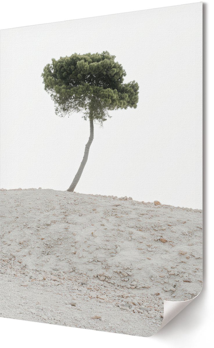 Coloray Polycanvas Poster - Eenzame Boom, Fotografie - 594 x 840 - Wit Motief - Rechthoek - Kunstposter - Slaapkamer - Minimalist