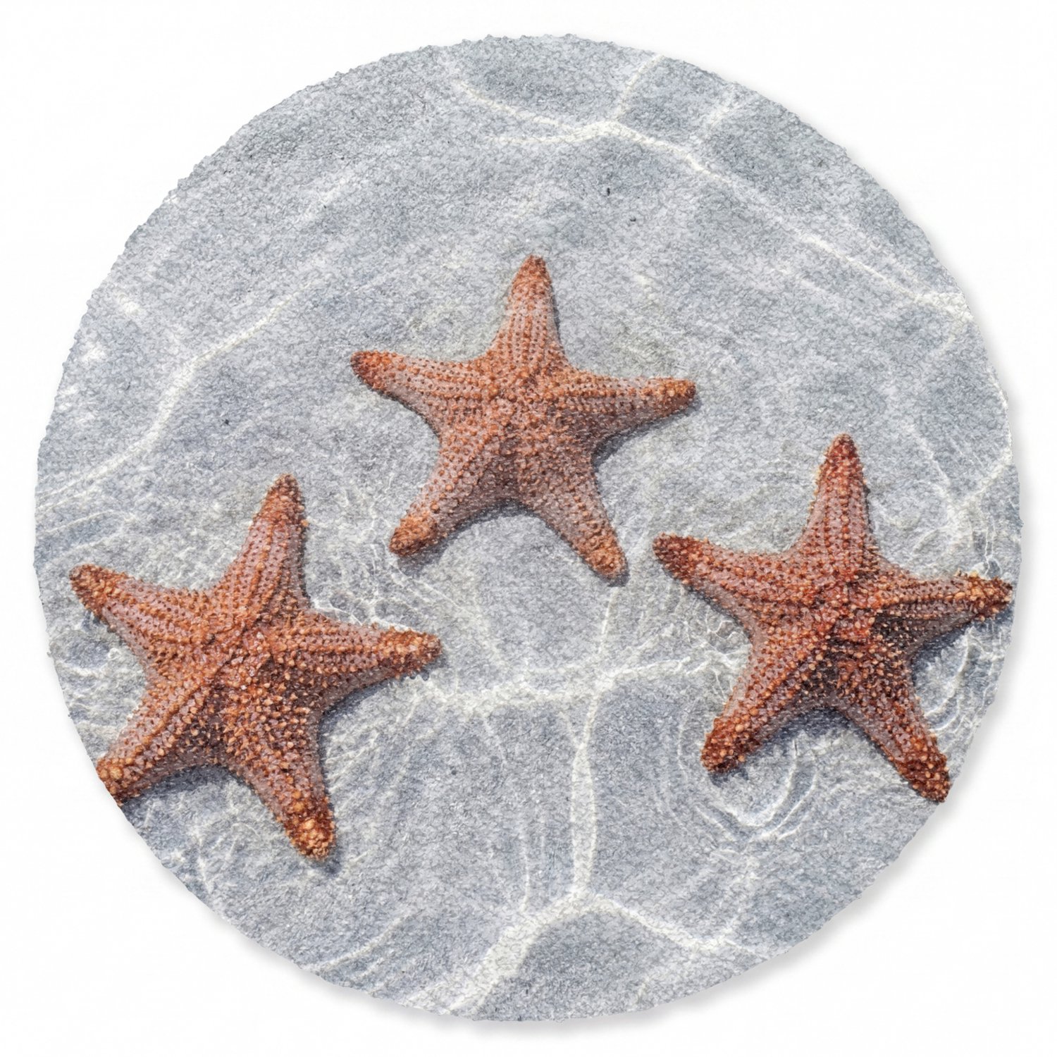 Deurmat rond 90x90 cm - Droogloopmat Zeesterren - Water - Helder - Mat voor binnen - Schoonloopmat - Ronde deurmatten met print - Inloopmat