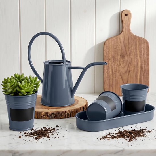 Mini-gieter en potset, roestvrij verzinkt ijzer, compact, voor binnen, voor cactussen, kruiden en kleine planten. — afbeelding 5