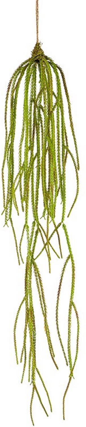 Emerald Hangplant lycopodium l90 cm Emerald onbekend