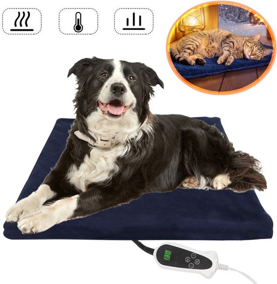 Border Collie op donkerblauw kussen met digitale regelaar, inzetstuk met slapende kat en pictogrammen.