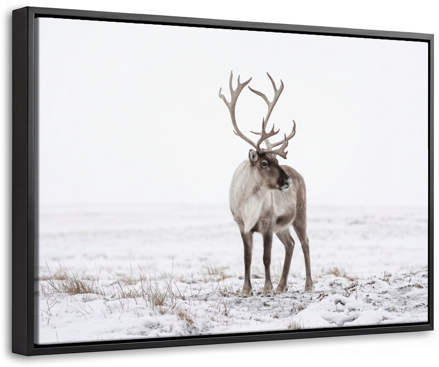 Canvas Schilderij met Baklijst 60x40cm - Rendier - Gewei - Sneeuw - Winter - Muurdecoratie woonkamer - Slaapkamer decoratie - Kamer accessoires - Schilderijen op canvas met lijst