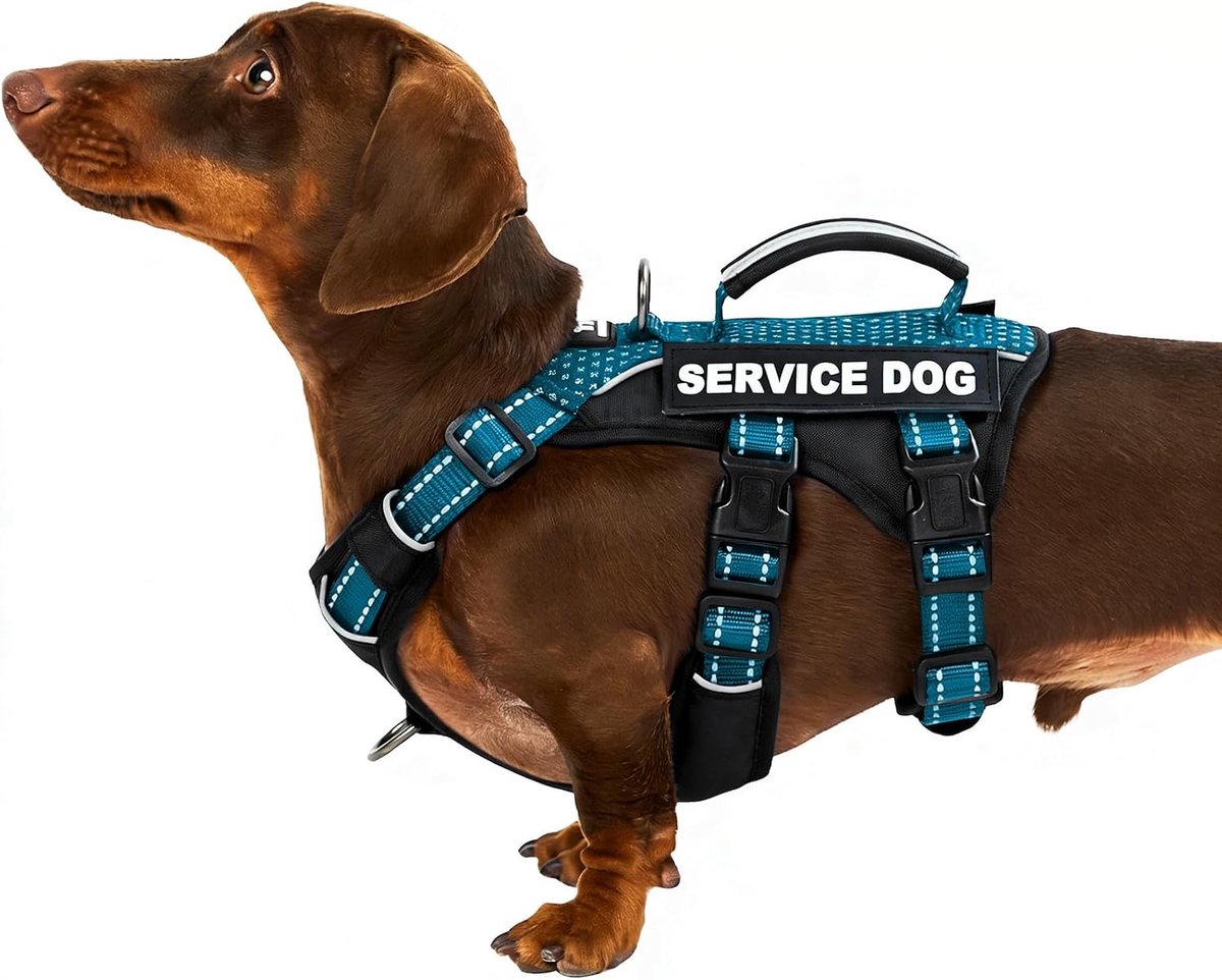 hulphond harnasvest, ontsnappingsbestendig harnas met 6 patches, anti-trek, reflecterend harnas met handgreep, verstelbaar voor kleine tot grote honden, voor training (groenblauw, S)