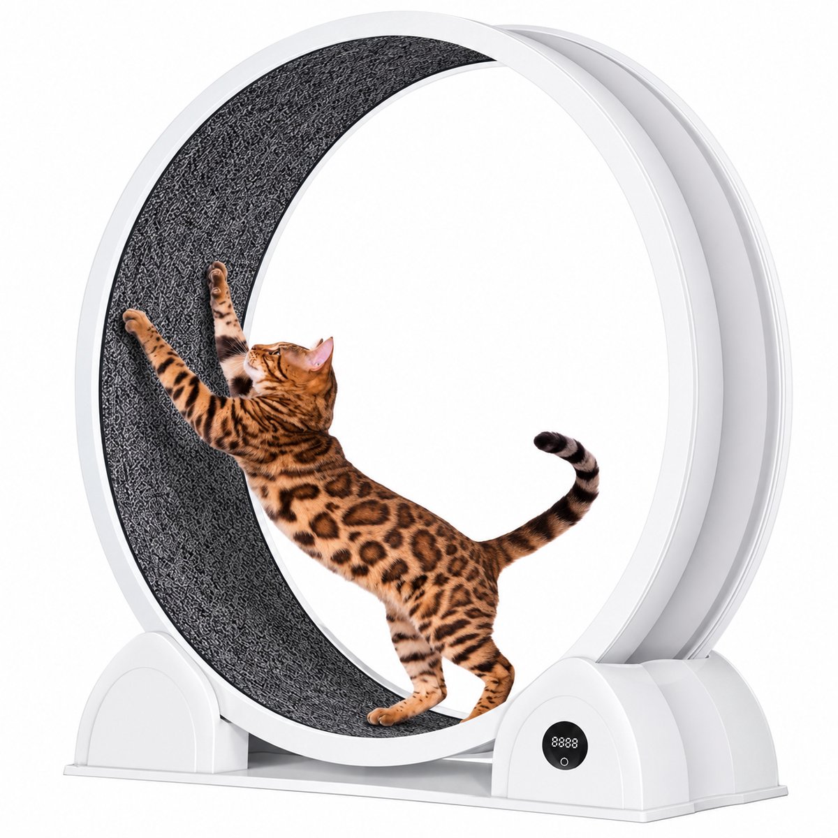 Veya Kattenfitness - Loopwiel kat - Speelgoed kat - Katten - Stappenteller - 103 cm Diameter - Geluidsarm - Tot 11 kg - Wit
