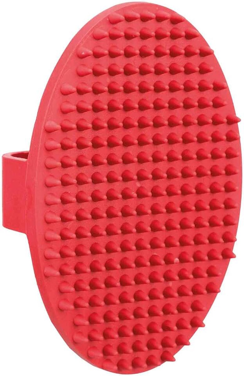 Massageborstel, met handlus, 9 cm
