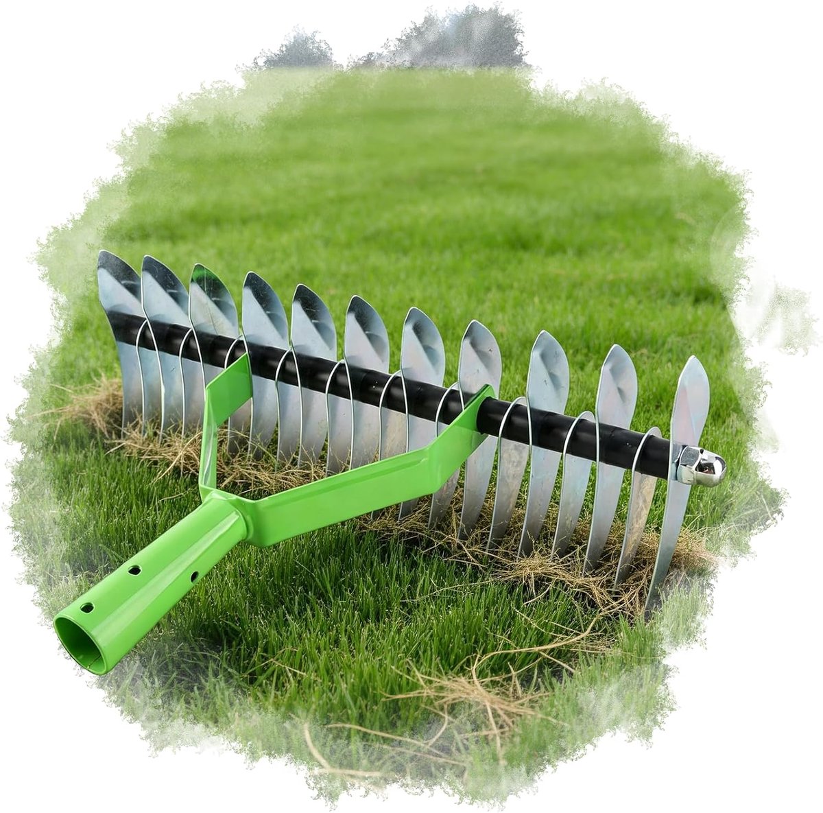 Gazonharkkop van roestvrij staal, ontkalking en schepper voor de tuin, zonder handvat, 32 x 23,9 x 12,2 cm, voor het verwijderen van dode grasbladeren en voor het losmaken van de