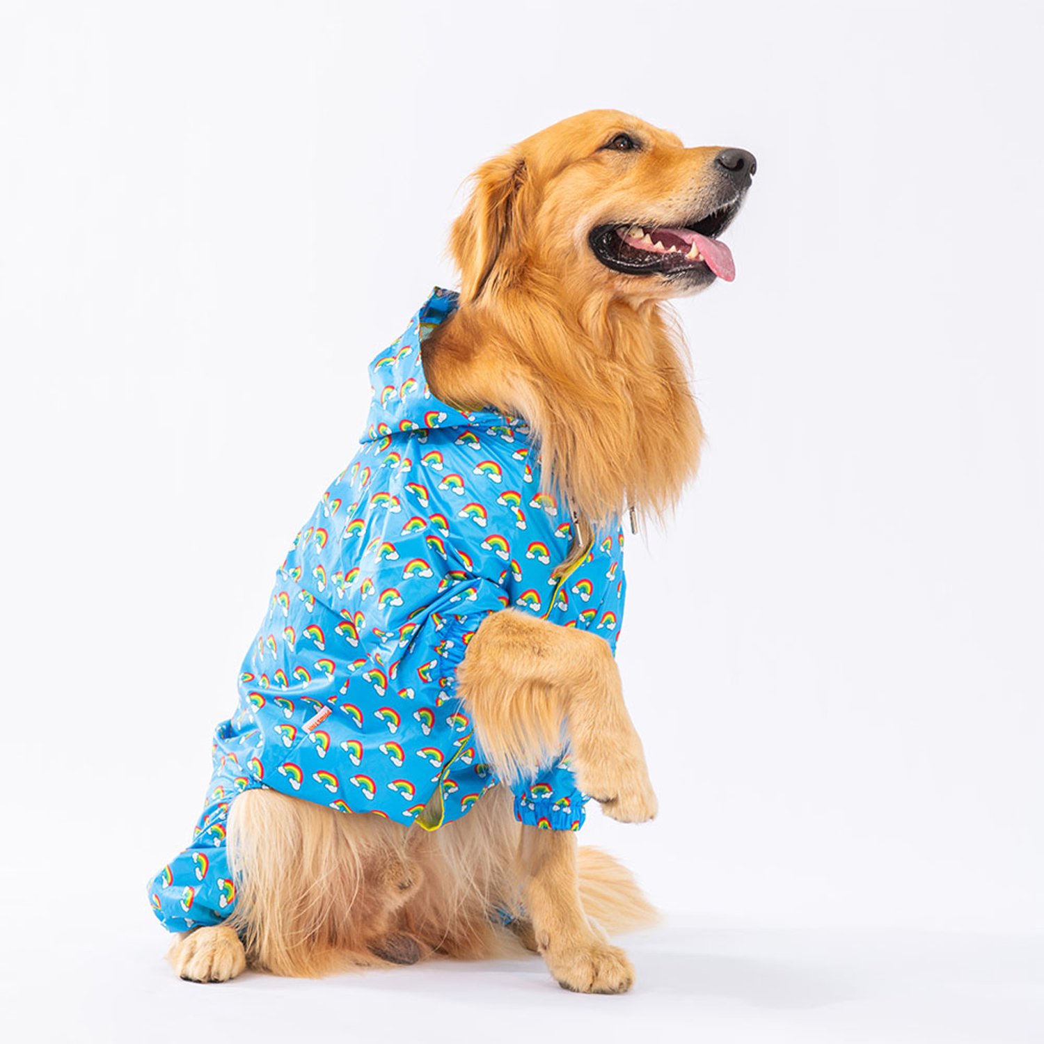Pawstar Irides Big - Hondenoverall - Multicolor - 4XL