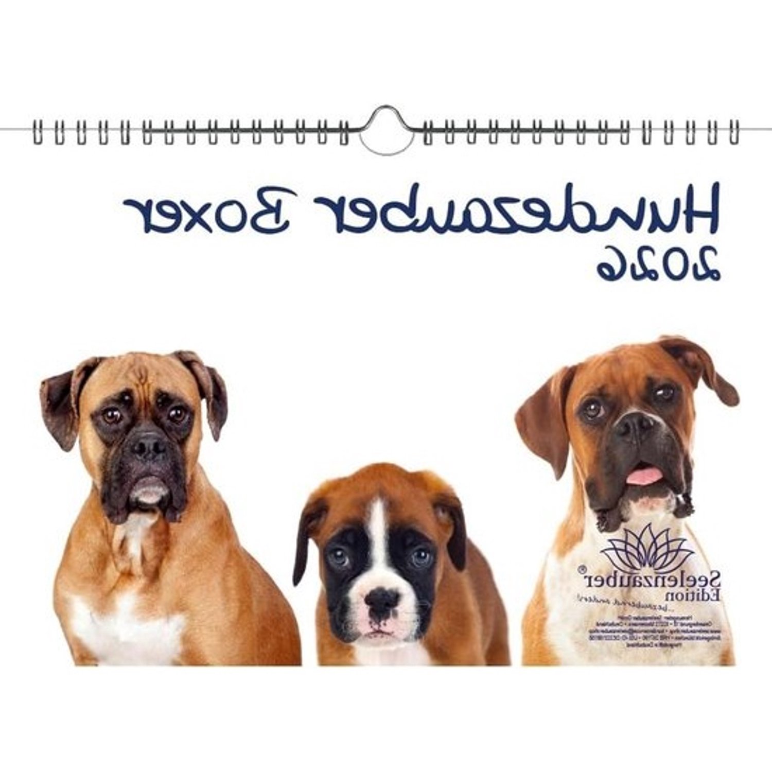 Boxerkalender - Hondenkalender - puppy - Jaaroverzicht - 12 verschillende motieven - DIN A4 - Meerkleurig
