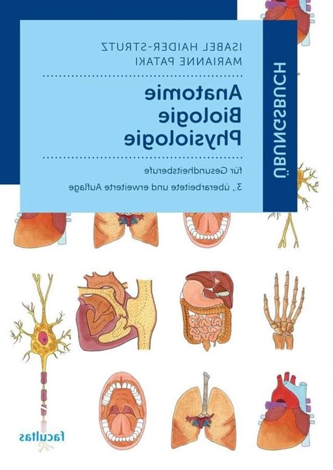 Oefenboek anatomie - Biologie en fysiologie - Kennis oefenen - Voor gezondheidsberoepen - 152 pagina's - Niet gespecificeerd