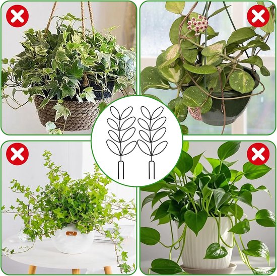 Afbeelding toont dat klimrekken niet geschikt zijn voor hangplanten, enkel voor potplanten.