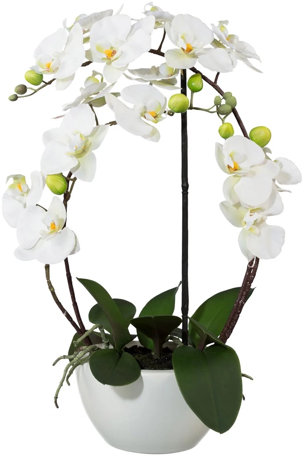 KOPU® Kunstorchidee 52 cm - Wit - Witte keramische pot - Phalaenopsis