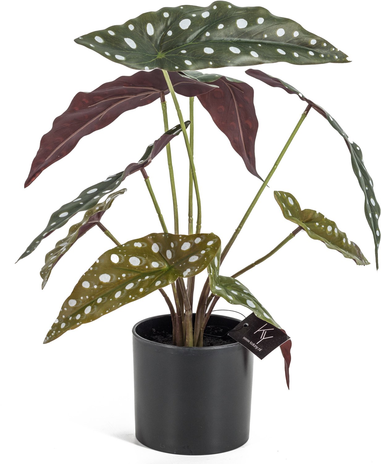 homebound by ky Stippen kunstplant in pot zwart