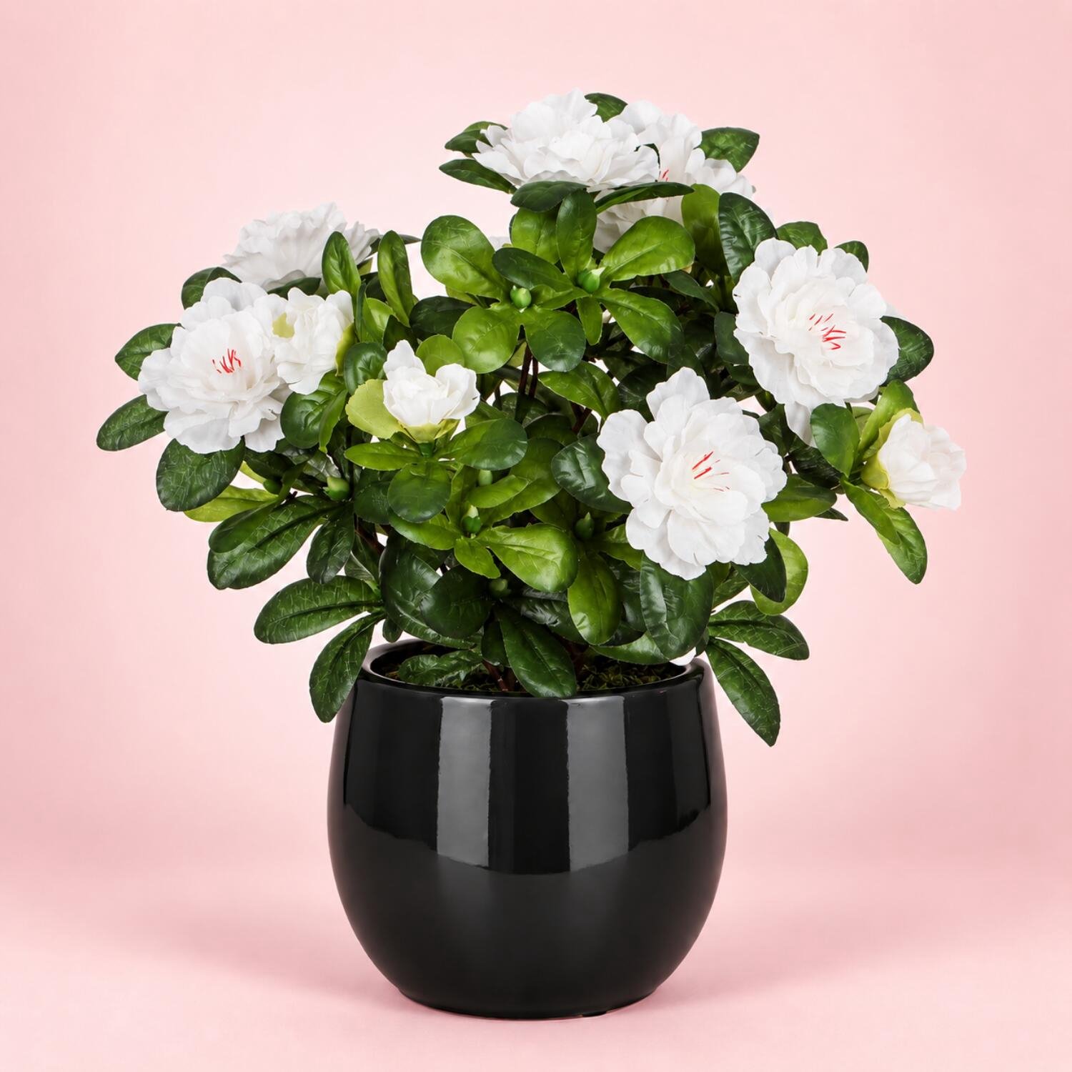 Mica Decorations Kunstplant - Azalea - wit - H27 cm - in zwarte bloempot - keramiek - complete set van pot en plant - decoratie stuk