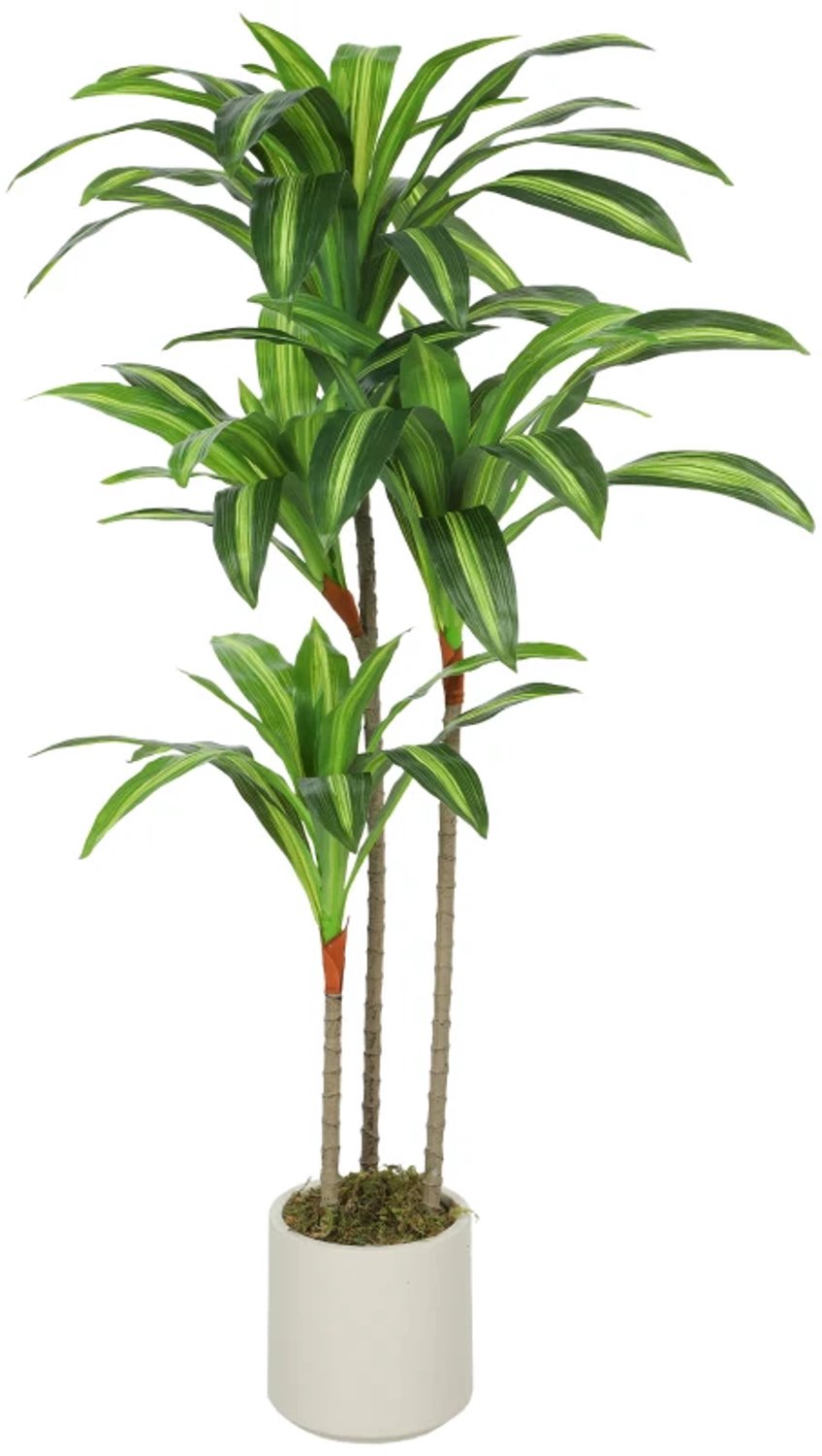 ZYLARO Kunstmatige dracaenaboom - 120 cm - Flexibele stammen - Witte plantenbak - Voor woonkamer slaapkamer en kantoor Groen