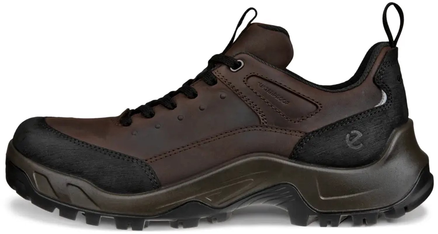 Wandelschoenen Ecco Zwart