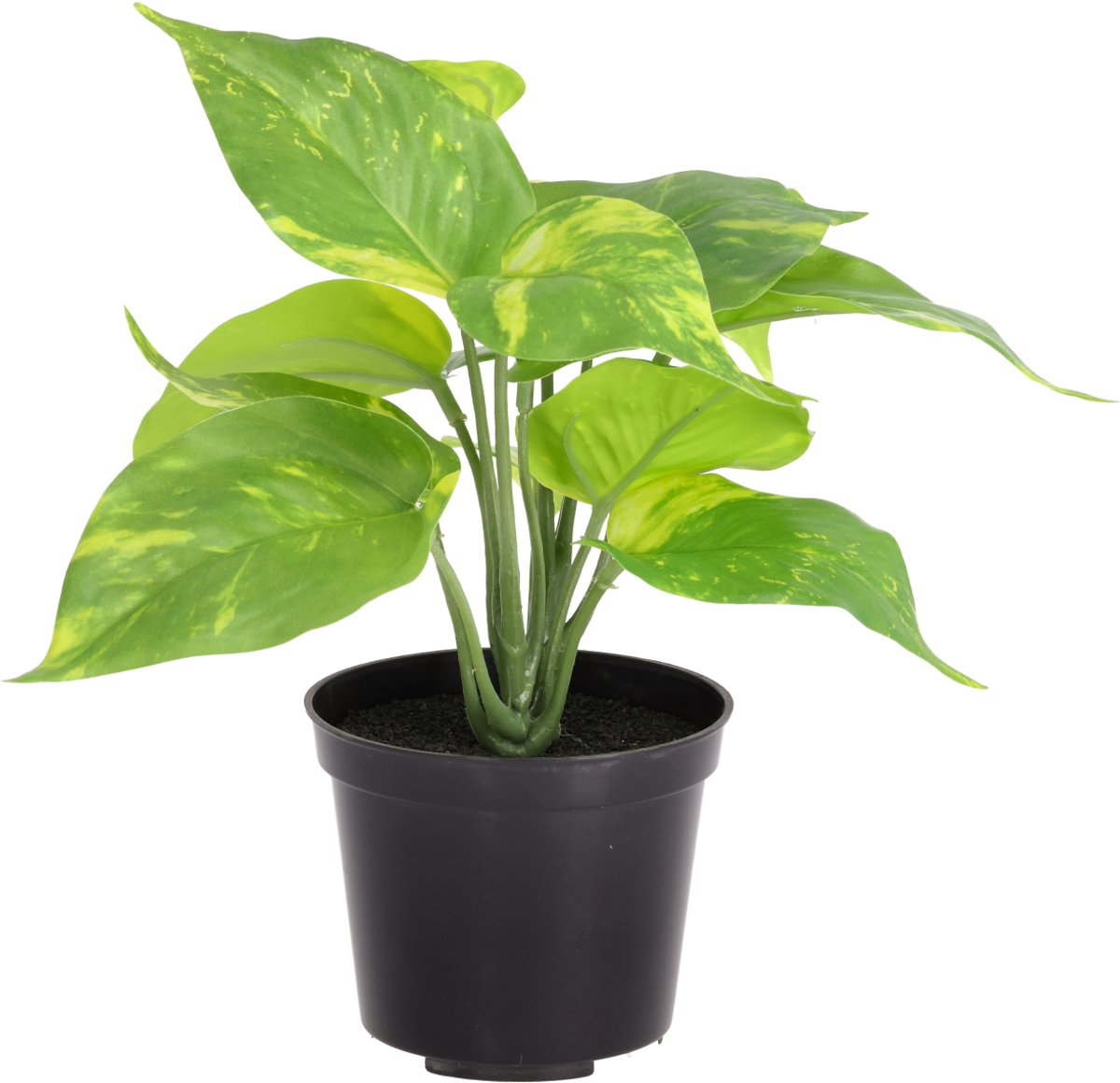 Pothos kunstplant bont 20cm in kweekpot