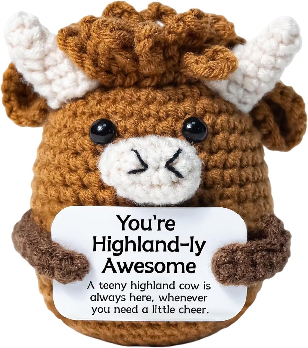 Knuffeldieren Highland Cow, positieve cadeaus Hooglandse rund, knuffeldier van wol en katoen, emotionele ondersteuning Highland Cow knuffeldier, cadeau, positieve hooglanders pocket hug