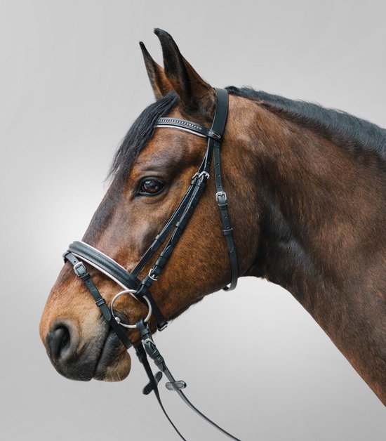 Hoofdstel Diamant - shetlander t/m paard Hoofdstel Diamant - shetlander t/m paard