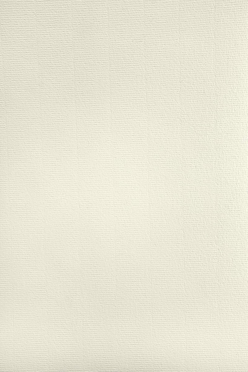 Craftpapier A4 100x Elfenbein - Ribbelstructuur - Hoogwaardige uitstraling - Perfect voor uitnodigingen - ShopVlot