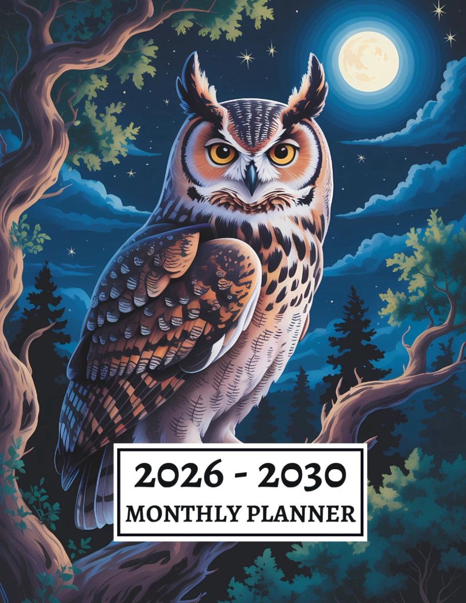SnelShoppen - 2026-2030 Maand Planner | Vijf Jaar Kalender | Januari 2026 tot December 2030 | Uil Nacht Bos Cover | Perfect voor Organiseren en Planne