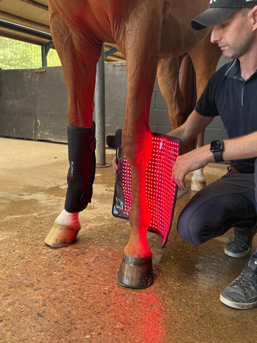 LIROMA® Rood licht Beenbeschermers Paard - Red light therapy voor paarden - Ondersteun natuurlijk herstel