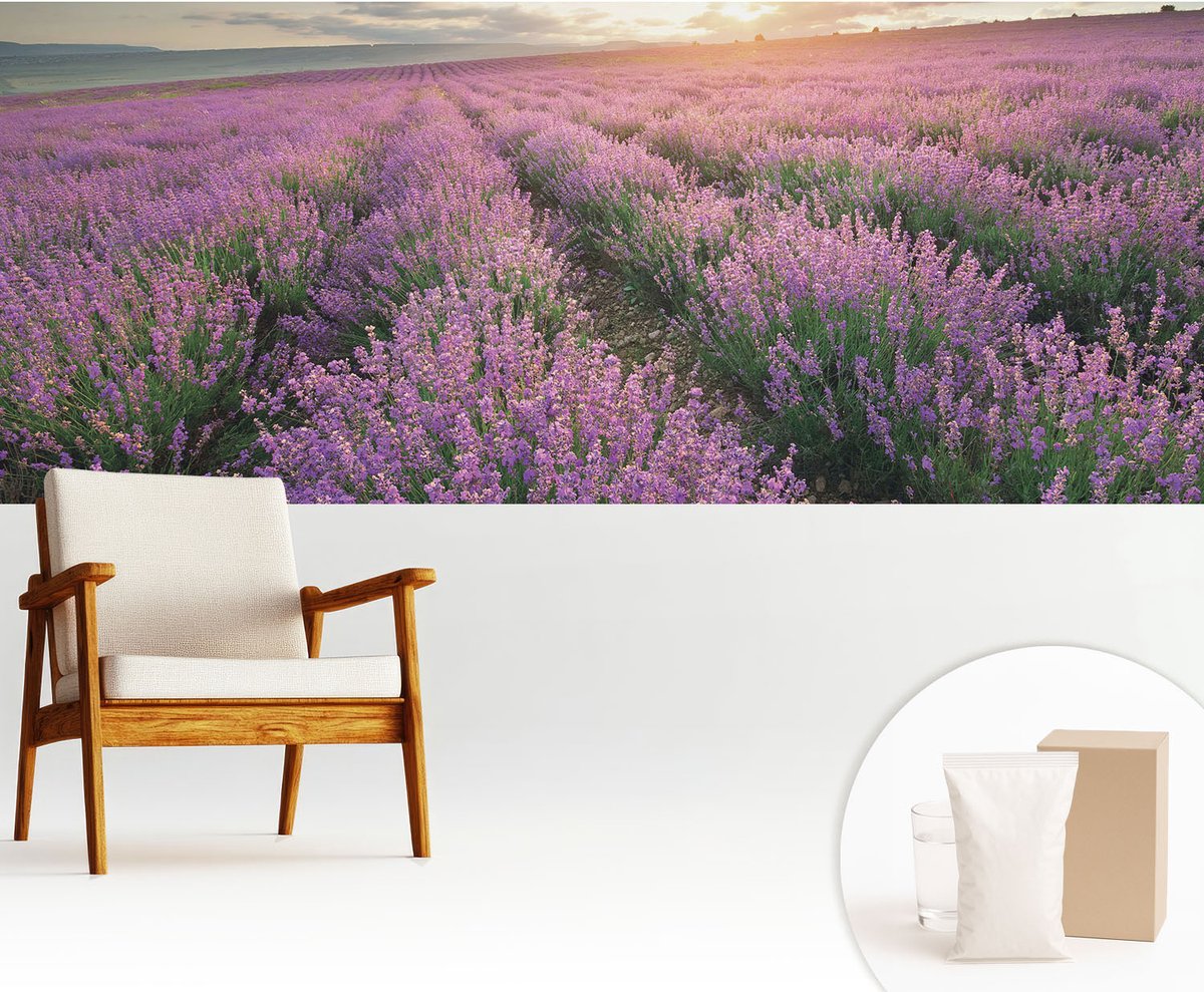 Wallfluent Fotobehang - Paars Vliesbehang - 250x104 cm - Lavendelvelden Fotobehang Vlies - Woonkamer behang Landschappen - Muurschildering - Hal behang