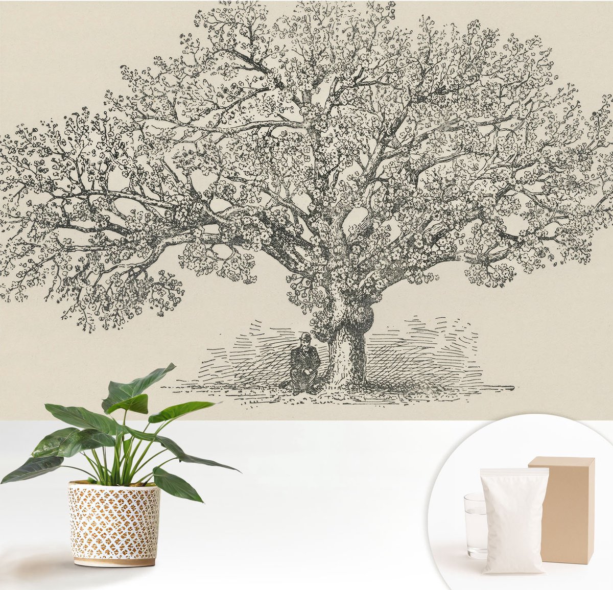 Wallfluent Fotobehang - Zwart-Wit Vliesbehang - 152x104 cm - Boomillustratie Muurschildering - Gang behang Bloemen En Planten - Fotobehang Vlies - Slaapkamer behang