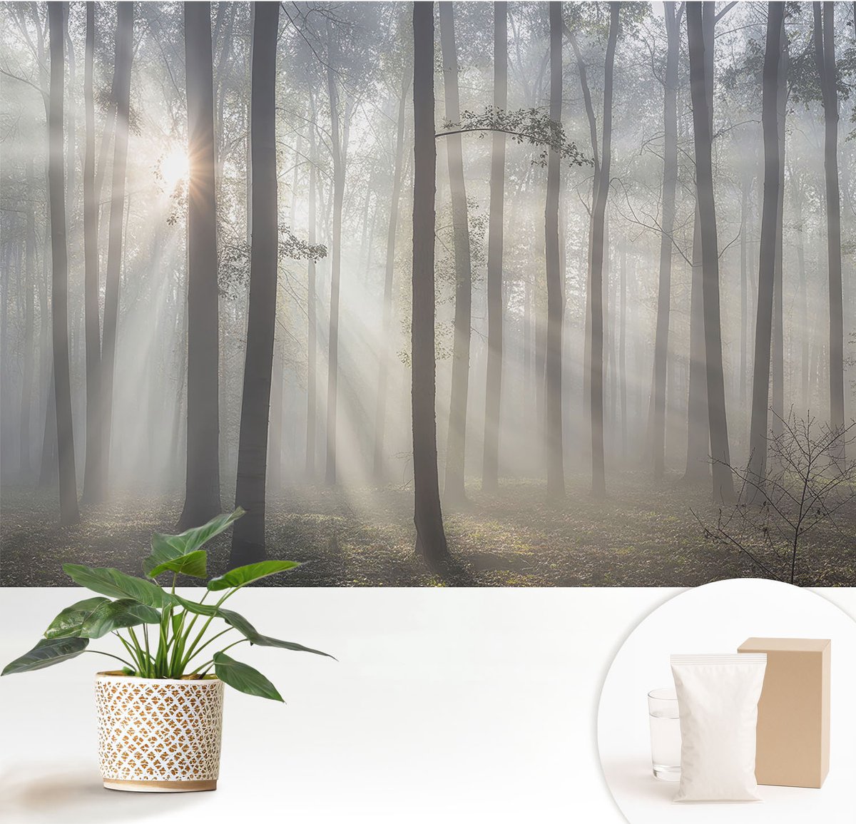 Wallfluent Fotobehang - Grijs Vliesbehang - 152x104 cm - Etherisch Woud Fotobehang Vlies - Hal behang Landschappen - Muurschildering - Woonkamer behang