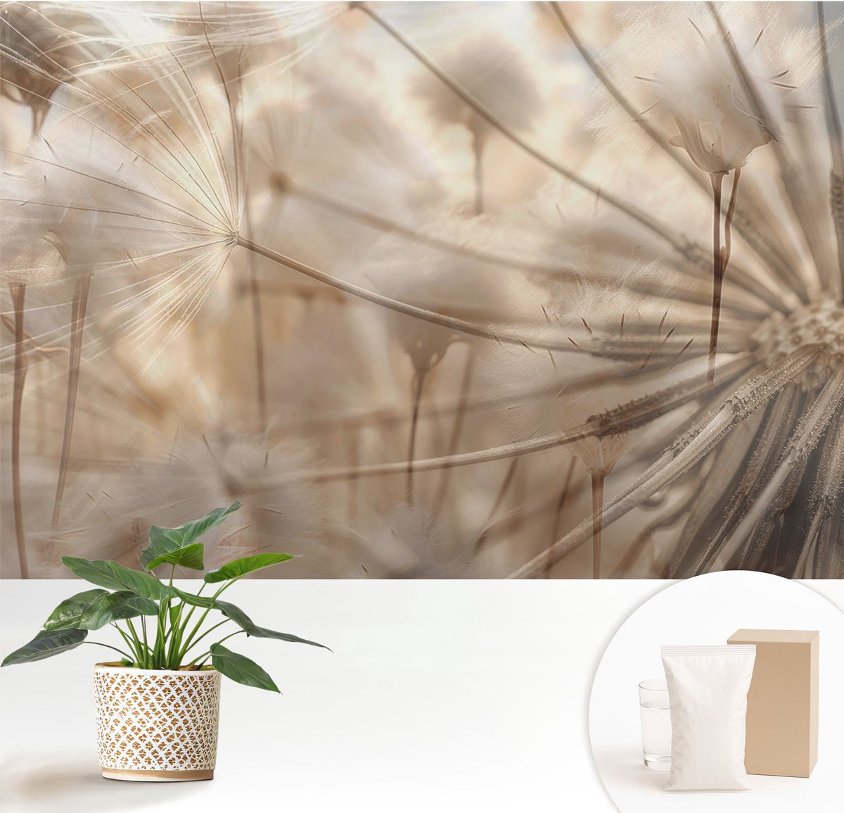 Wallfluent Fotobehang - Beige Vliesbehang - 152x104 cm - Subtiele Paardenbloemen Muurschildering - Gang behang Bloemen En Planten - Fotobehang Vlies - Gang behang