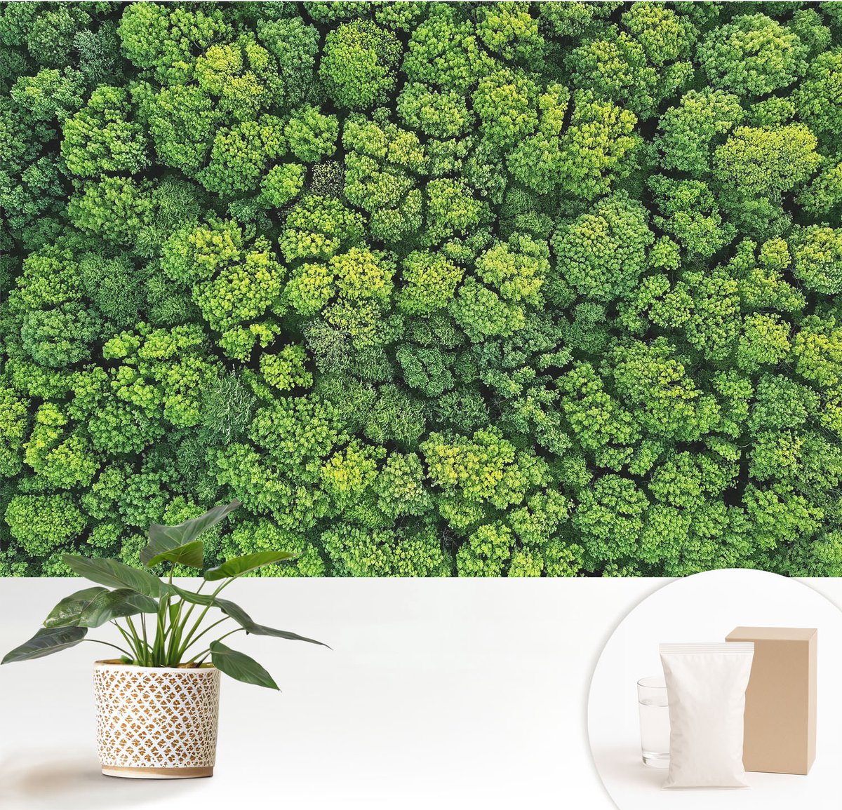 Wallfluent Fotobehang - Groente Vliesbehang - 152x104 cm - Bospanorama Muurschildering - Slaapkamer behang Landschappen - Fotobehang Vlies - Gang behang