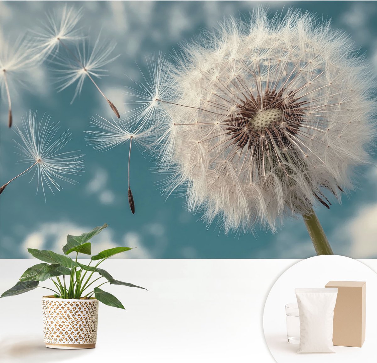 Wallfluent Fotobehang - Wit Vliesbehang - 152x104 cm - Een Vleugje Etherische Schoonheid Fotobehang Vlies - Hal behang Bloemen En Planten - Muurschildering - Hal behang