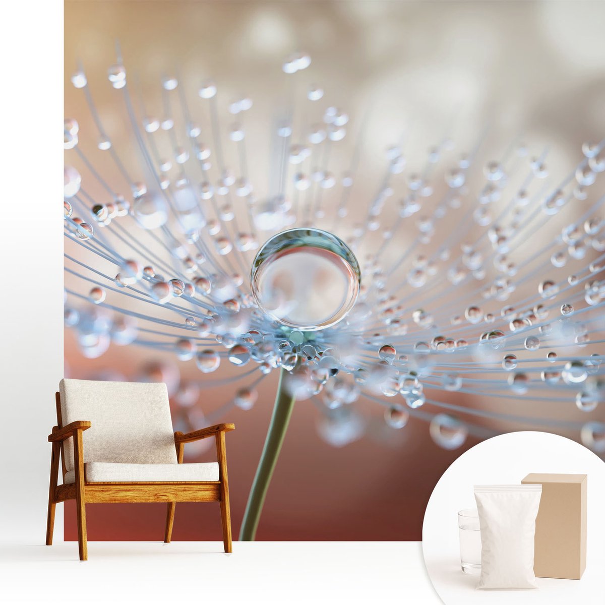 Wallfluent Fotobehang - Wit Vliesbehang - 250x250 cm - Een Druppel Op Een Paardenbloem Fotobehang Vlies - Hal behang Bloemen En Planten - Muurschildering - Woonkamer behang