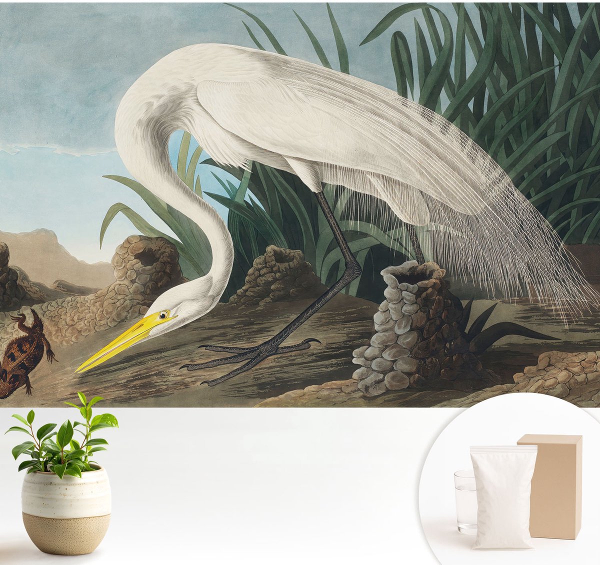 Wallfluent Fotobehang - Wit Vliesbehang - 104x70 cm - Majestueuze Reiger Fotobehang Vlies - Hal behang Dieren - Muurschildering - Hal behang